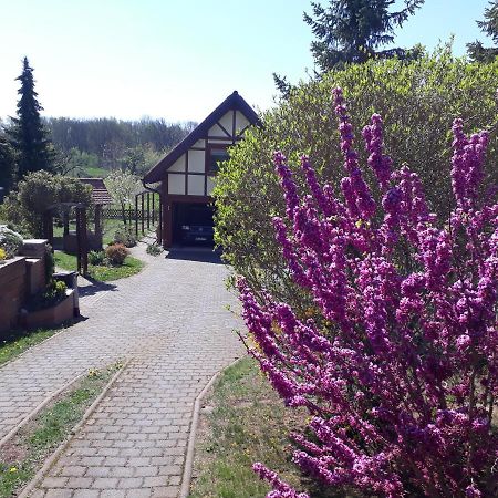 Ferienwohnung Zur Saaleaue Wettin Dış mekan fotoğraf