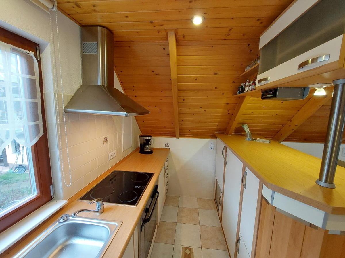 Ferienwohnung Zur Saaleaue Wettin Dış mekan fotoğraf