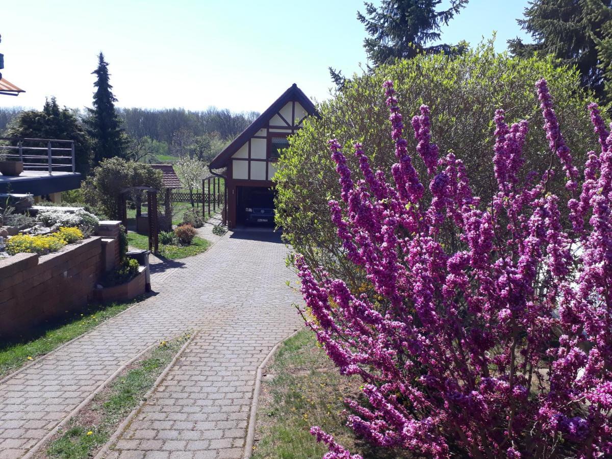 Ferienwohnung Zur Saaleaue Wettin Dış mekan fotoğraf