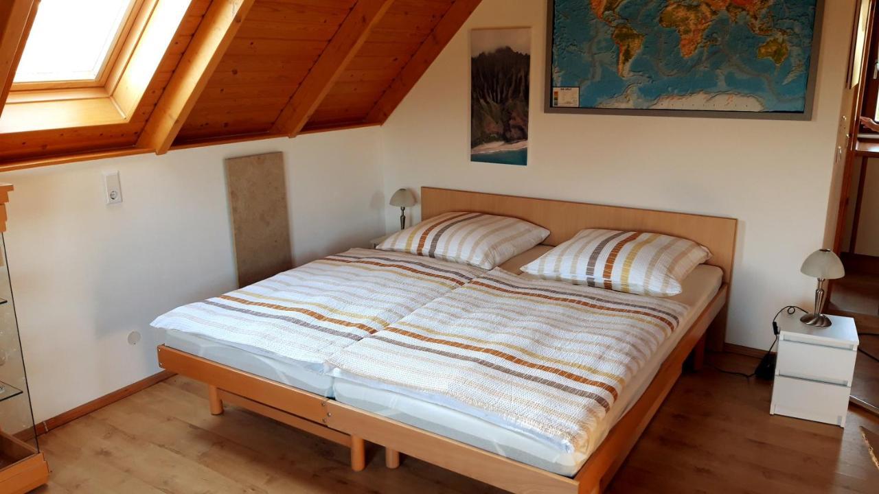 Ferienwohnung Zur Saaleaue Wettin Dış mekan fotoğraf