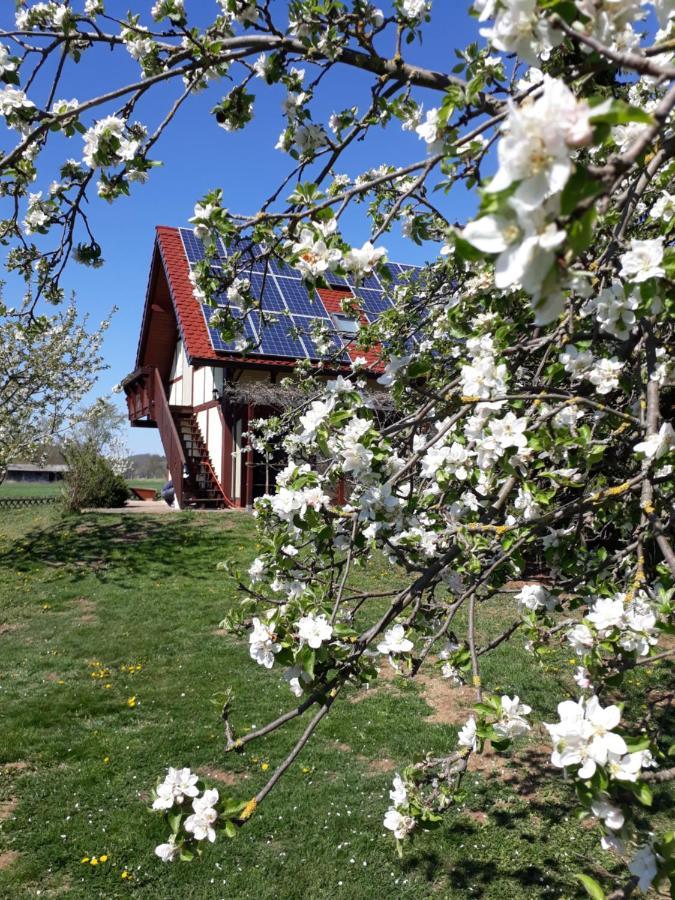 Ferienwohnung Zur Saaleaue Wettin Dış mekan fotoğraf