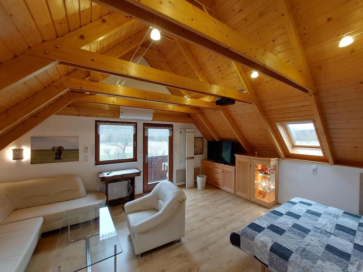 Ferienwohnung Zur Saaleaue Wettin Dış mekan fotoğraf