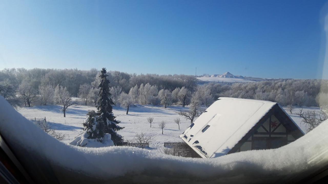 Ferienwohnung Zur Saaleaue Wettin Dış mekan fotoğraf