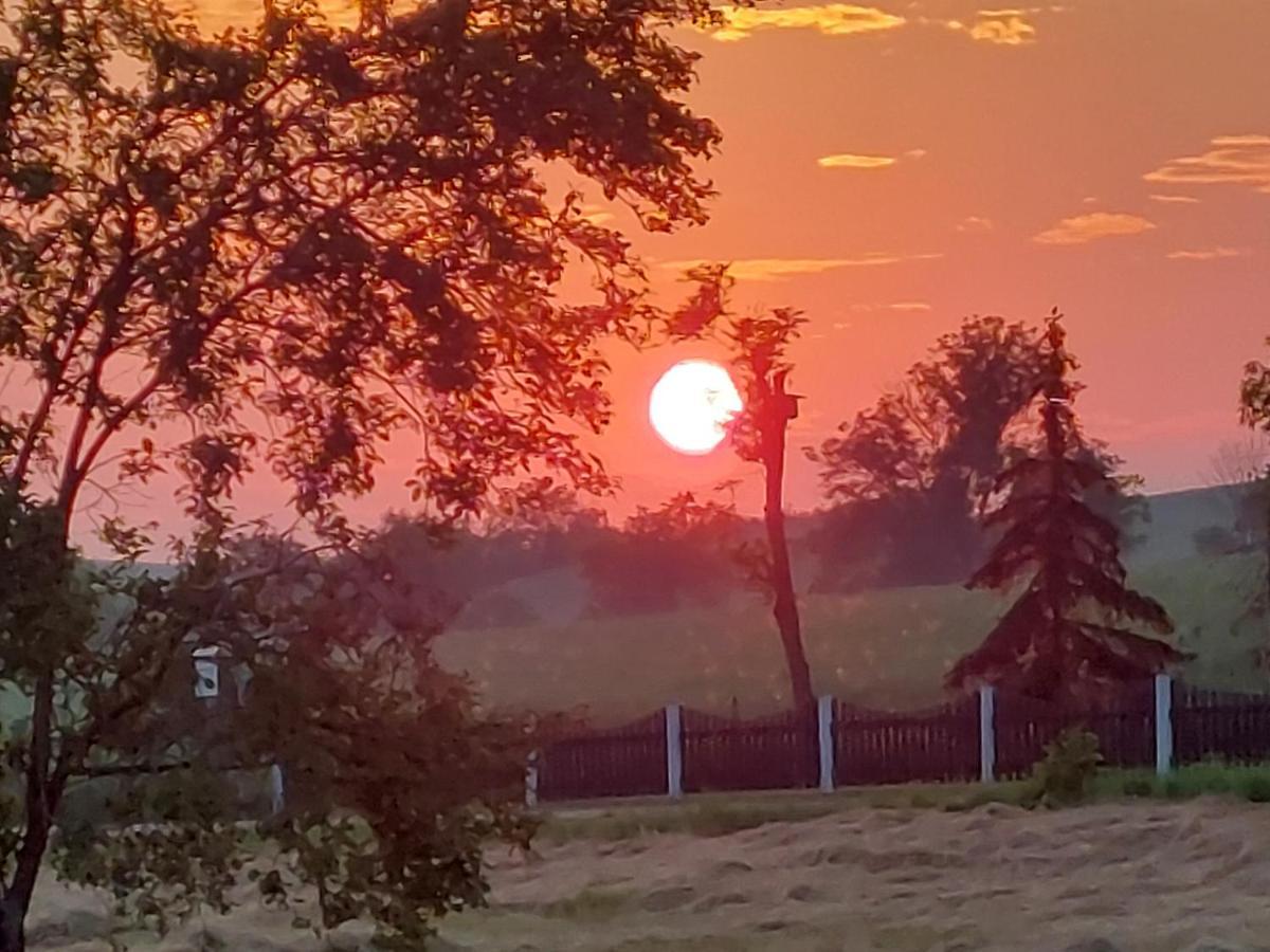 Ferienwohnung Zur Saaleaue Wettin Dış mekan fotoğraf