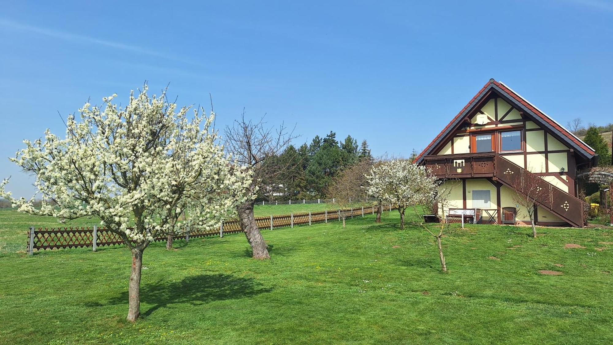 Ferienwohnung Zur Saaleaue Wettin Dış mekan fotoğraf